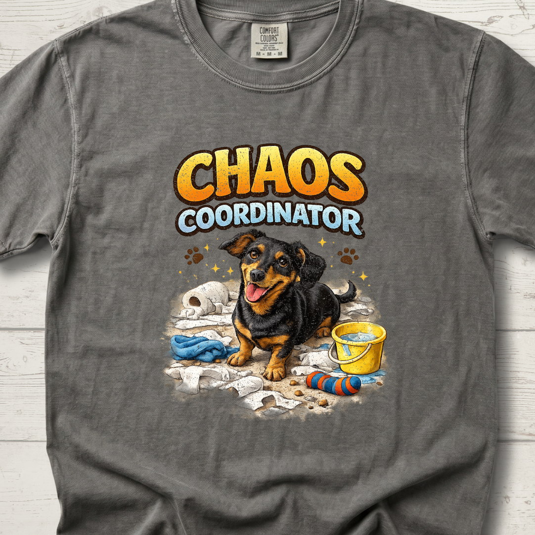 Chaos Coordinator – Sadie Edition