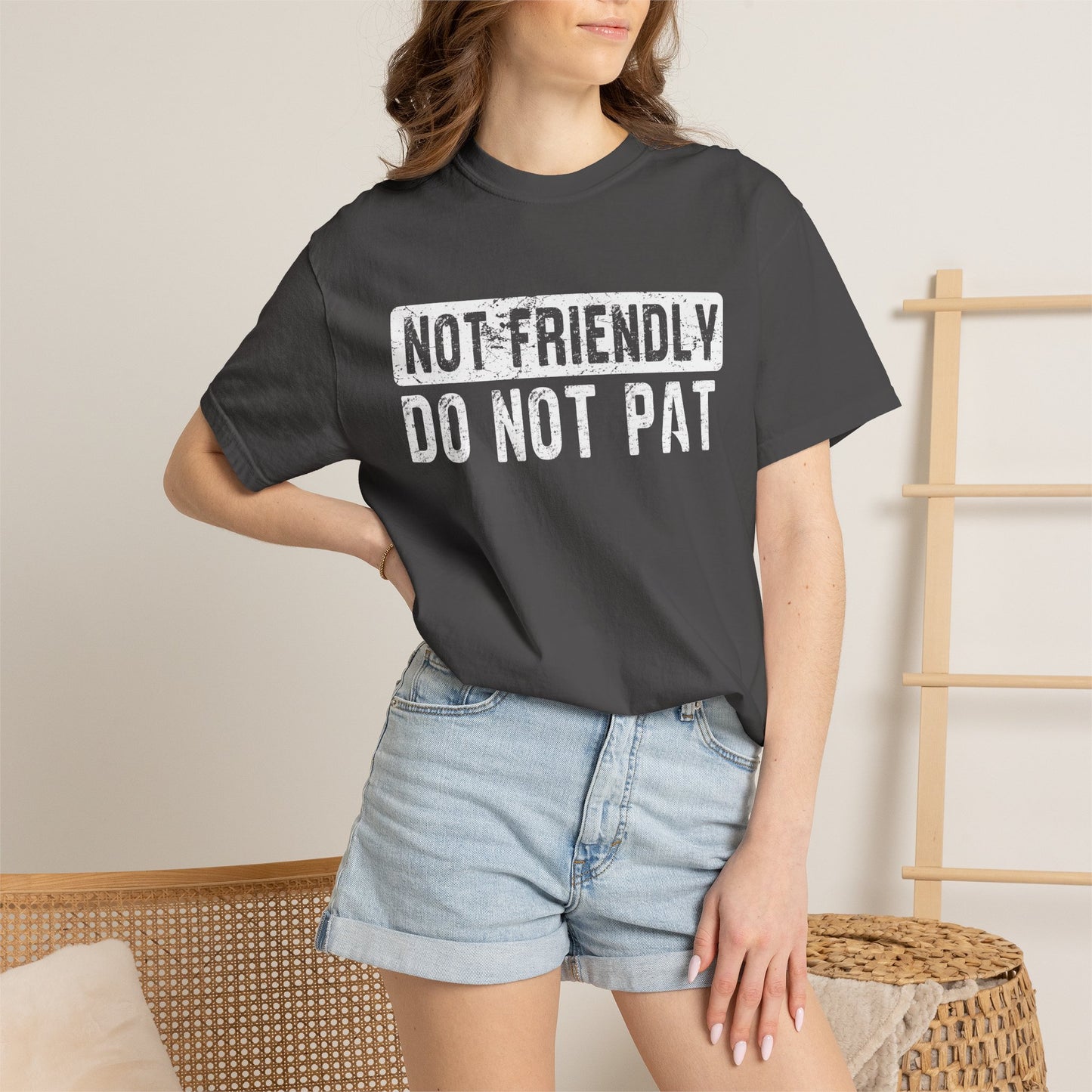 Not Friendly - Do Not Pat - T Shirt