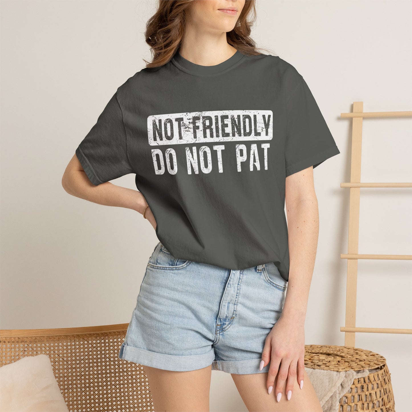 Not Friendly - Do Not Pat - T Shirt