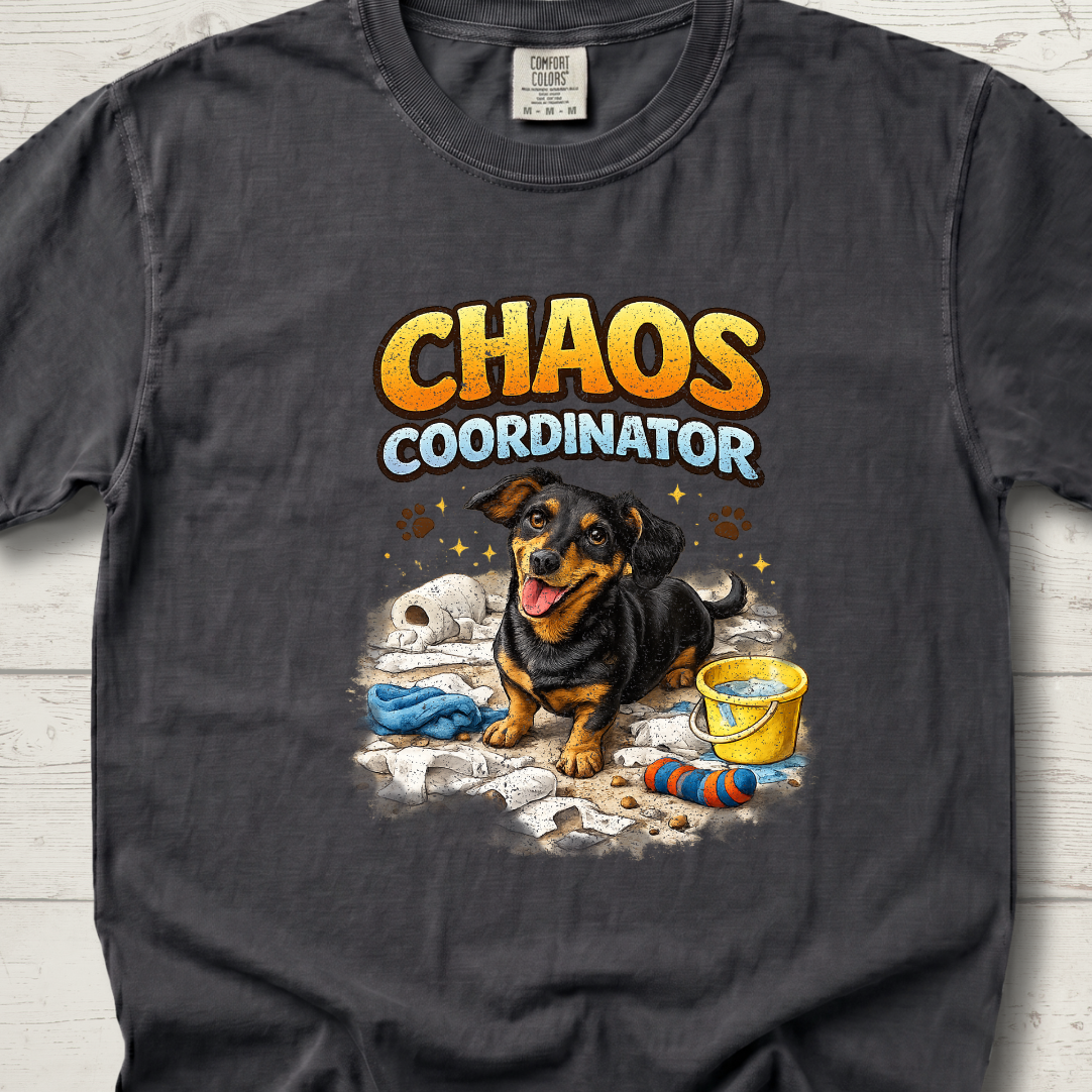 Chaos Coordinator – Sadie Edition
