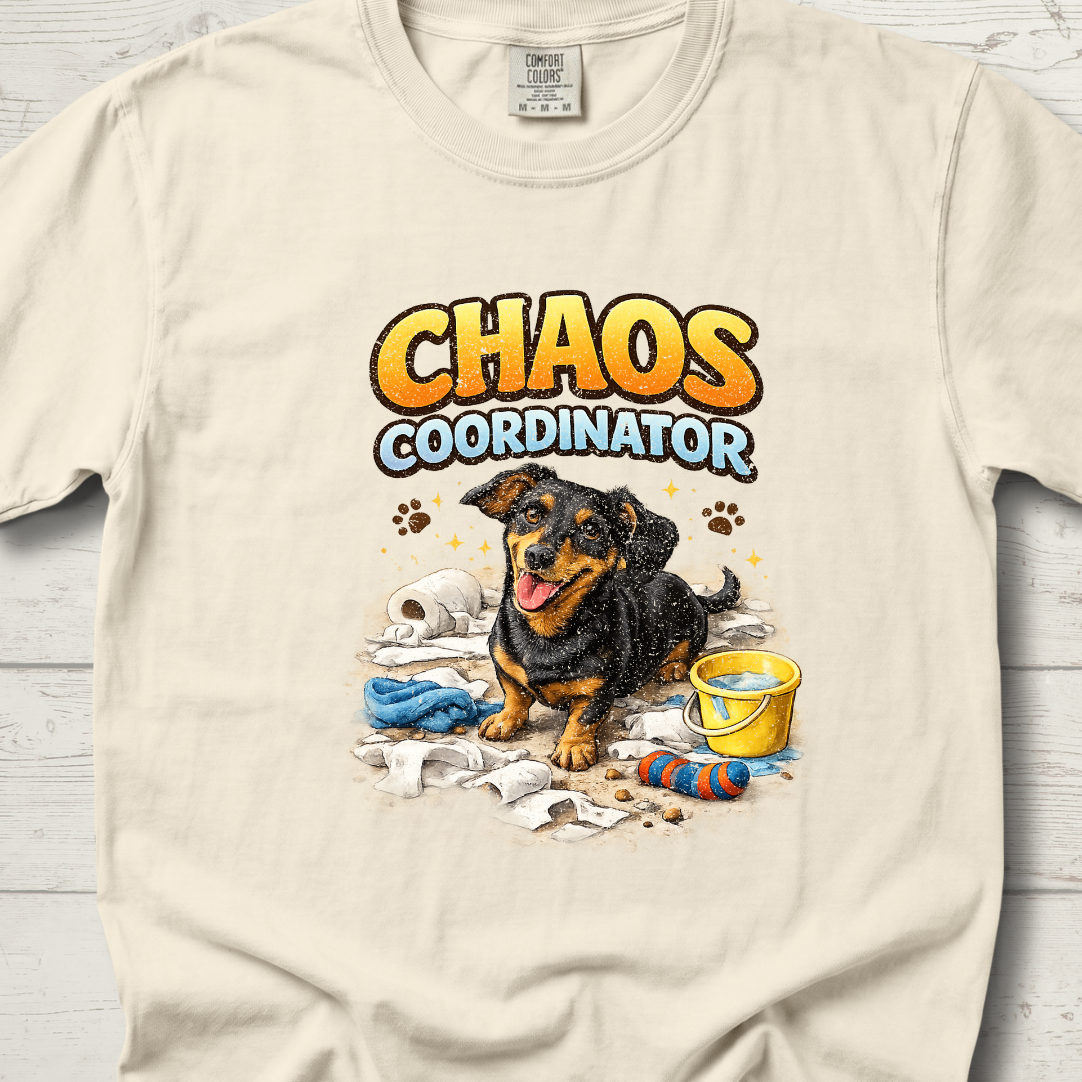 Chaos Coordinator – Sadie Edition