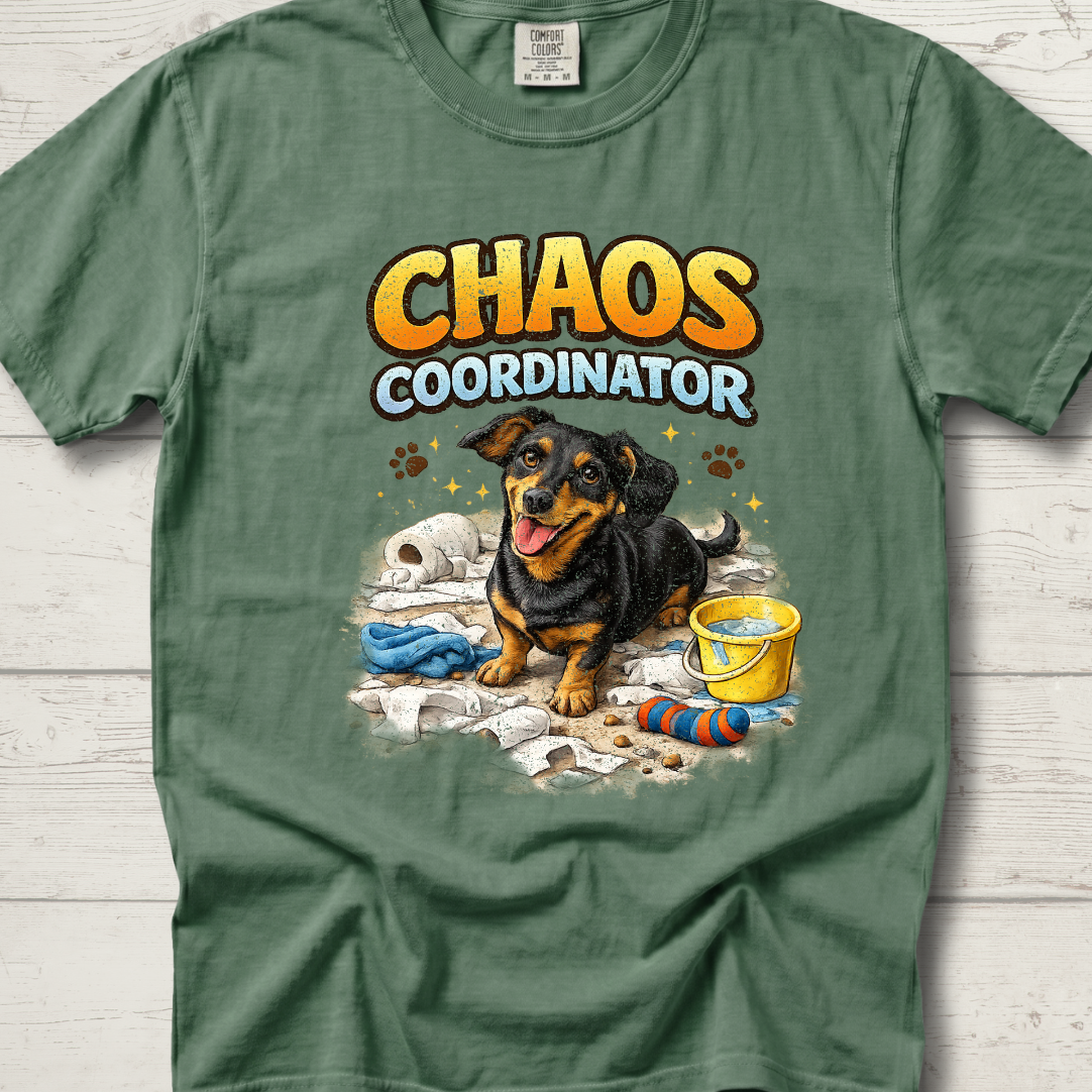 Chaos Coordinator – Sadie Edition