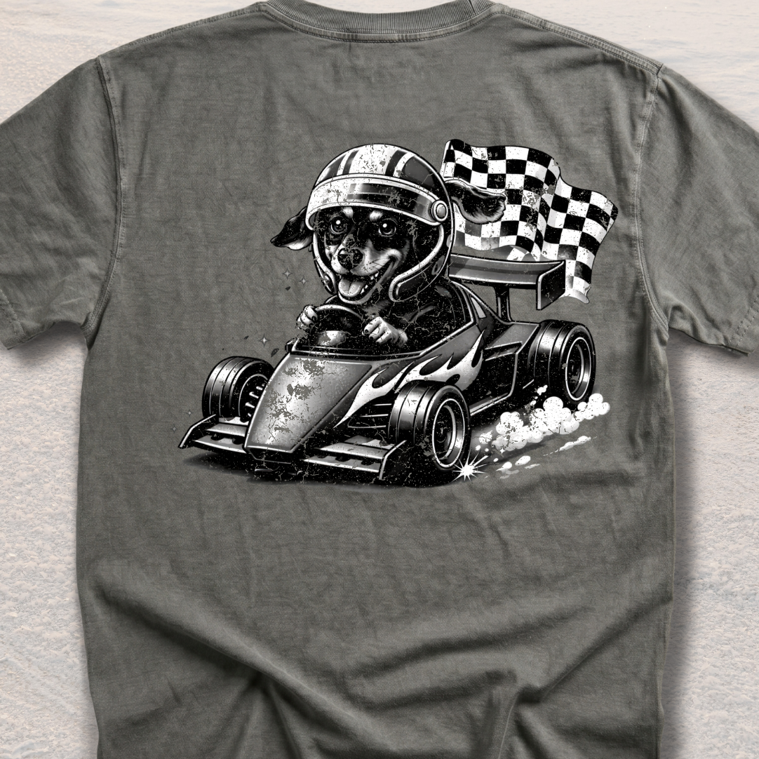 Racer Sadie – Checkered Flag Chaos