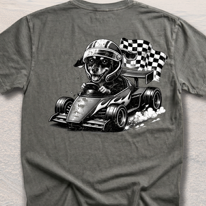 Racer Sadie – Checkered Flag Chaos