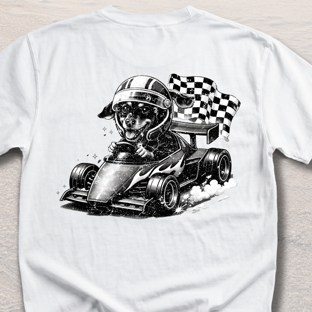 Racer Sadie – Checkered Flag Chaos
