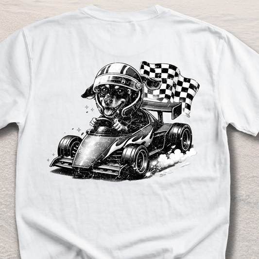 Racer Sadie – Checkered Flag Chaos